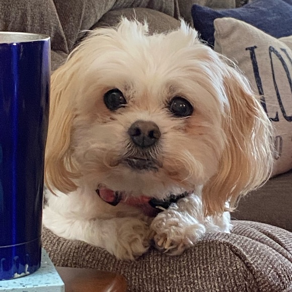 Meet your Posher, Kayla - Picture 1 of 1